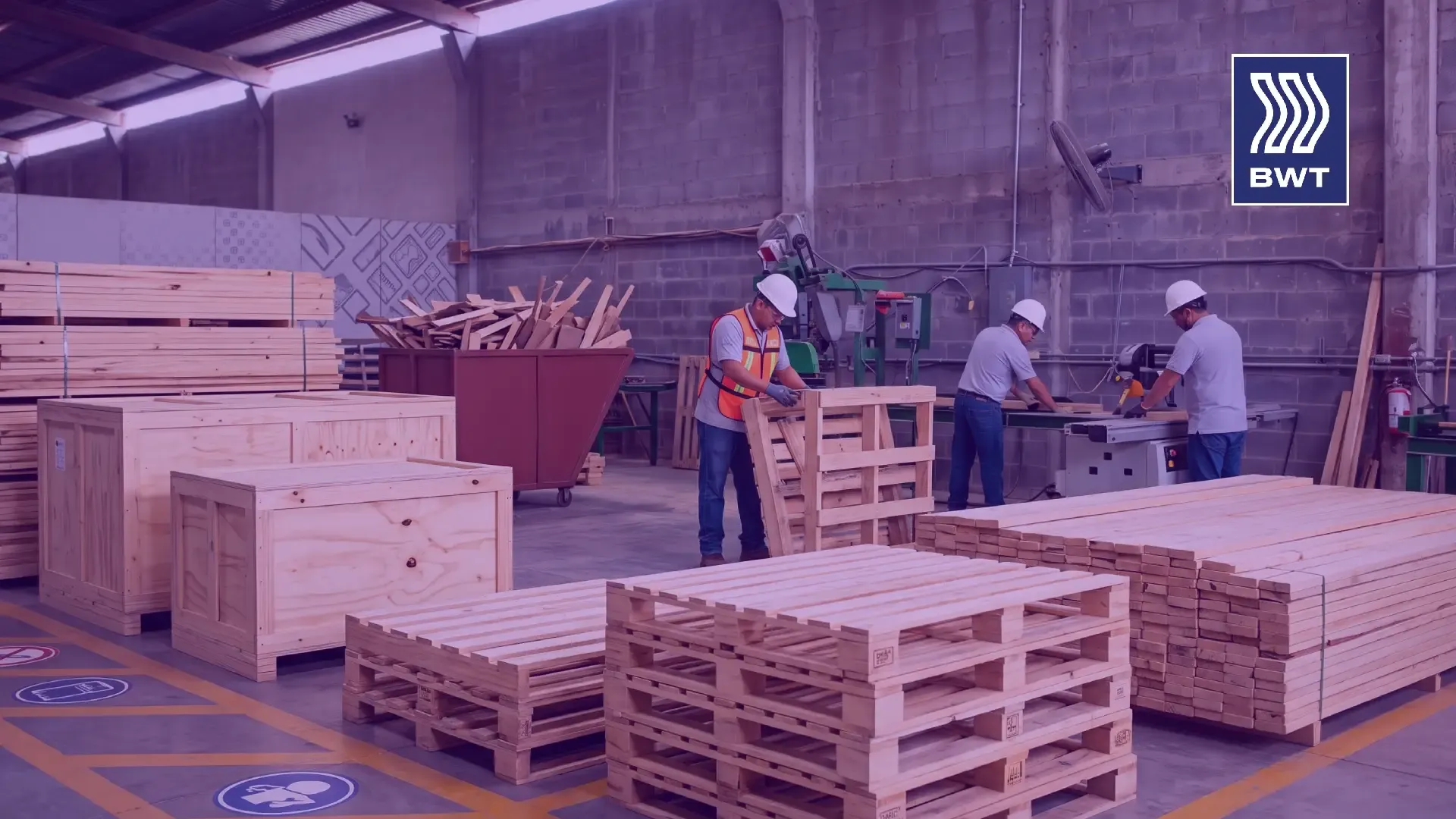 Cómo Elegir al Proveedor de Tarimas y Embalaje de Madera Adecuado para tu Planta Industrial