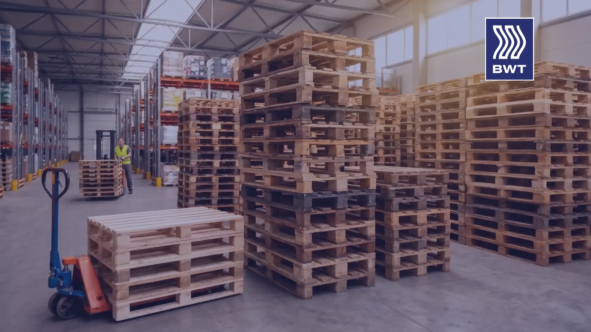 Tarimas de madera para exportación: Claves para optimizar costos y cumplir normas internacionales